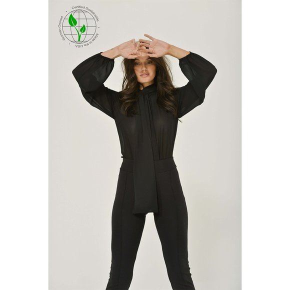 Pussybow Blouse | Long Sleeves | Semi-Sheer | NWT - Picture 1 of 8